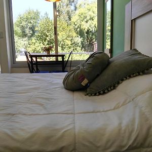 Suite con Cama King